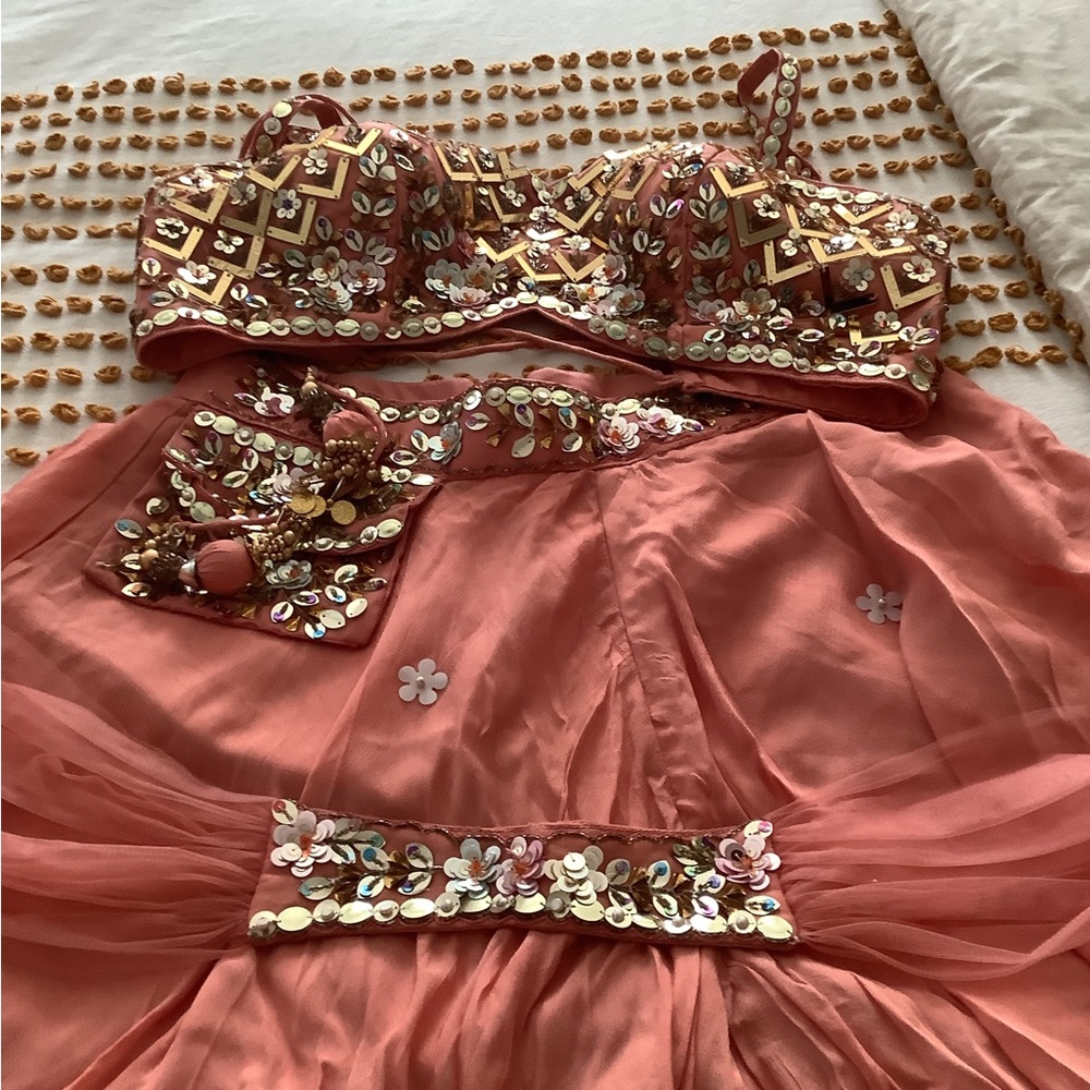 Embellished Coral Pink Beaded Bra Top - Picture 8 of 16